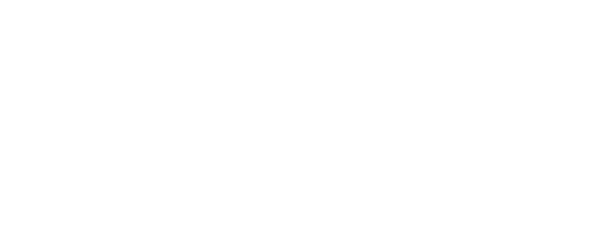 Web Lion